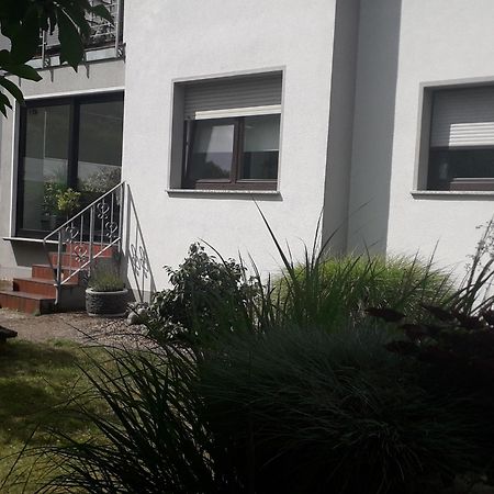 Ferienwohnung Goettert - Haus Erika Beckingen Esterno foto